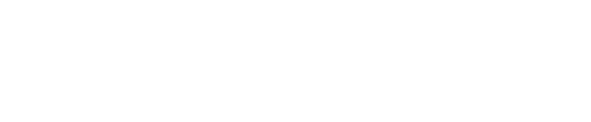 Audience Bridge